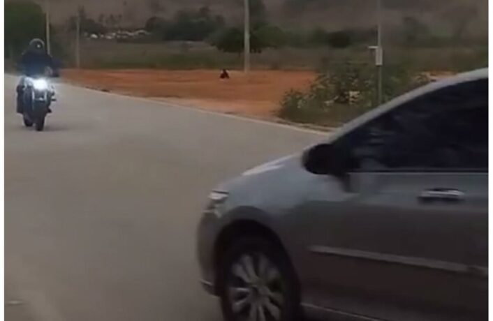 Vídeo: motociclista pede para ser filmado e morre após bater em carro que invadiu a contramão