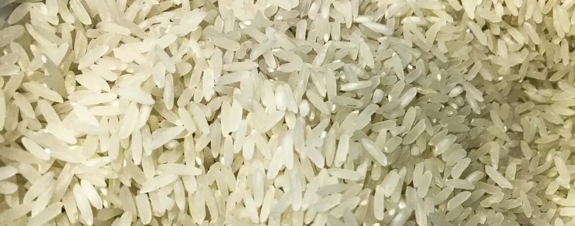 Camex zera tarifa de importação para garantir abastecimento de arroz