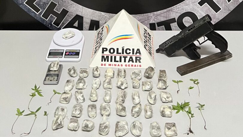 No bairro Morada Nova PM apreende buchas e pés de maconha e uma submetralhadora