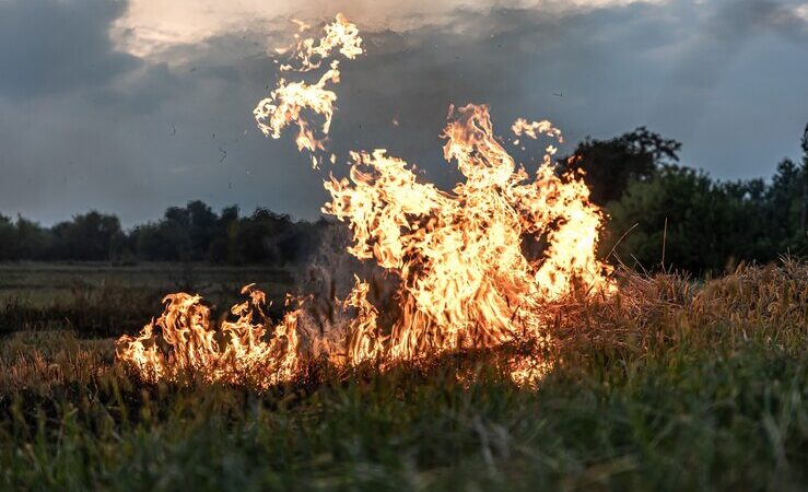 Acidente na rede de alta tensão incendeia pastagem na comunidade de Lopes e técnico de internet morre carbonizado