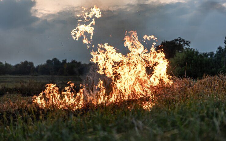 Acidente na rede de alta tensão incendeia pastagem na comunidade de Lopes e técnico de internet morre carbonizado