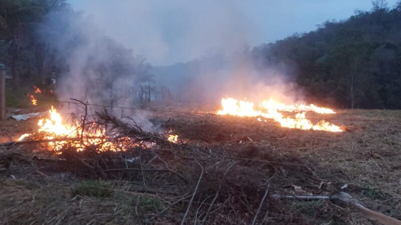 Homem é preso em Itaúna por atear fogo em vegetação