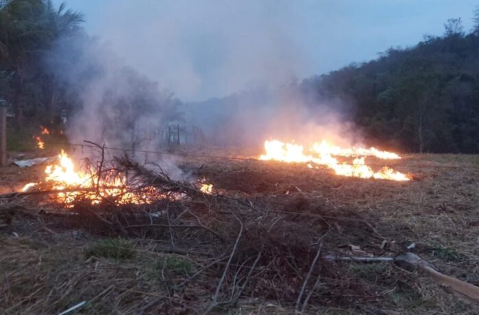 Homem é preso em Itaúna por atear fogo em vegetação