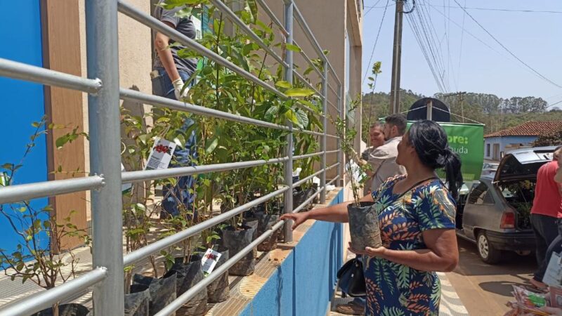 Mineração Usiminas arrecada mais de 200 kg de alimentos em iniciativa para marcar Dia da Árvore