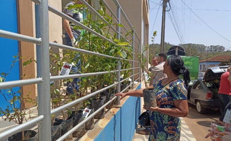 Mineração Usiminas arrecada mais de 200 kg de alimentos em iniciativa para marcar Dia da Árvore