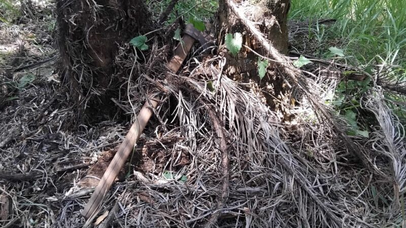 Corpo de homem desaparecido na mata em Rio Manso foi encontrado