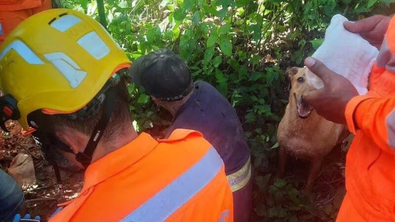 Corpo de Bombeiros procura desaparecido há 3 dias em mata fechada em Rio Manso