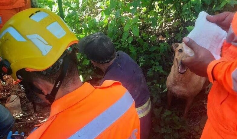 Corpo de Bombeiros procura desaparecido há 3 dias em mata fechada em Rio Manso