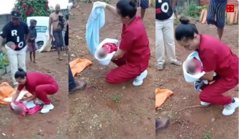 Vídeo: recém-nascido é abandonado em lote vago e tem a orelha e o pé esquerdo devorados por cães